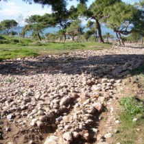 Τμήμα αρχαίας αμαξιτής οδού ήρθε στο φως στο Καβούρι
