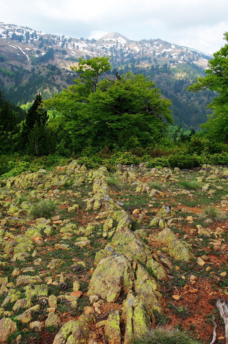 Γεωπάρκο Τηθύος: πετρώματα του μανδύα της  Γης.