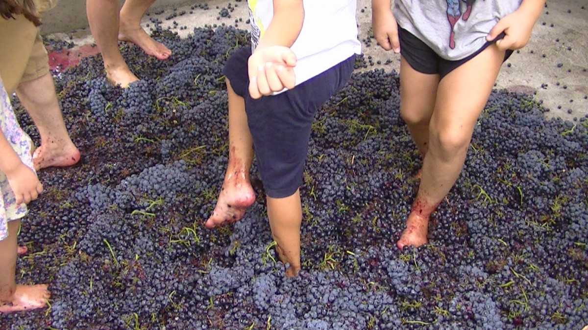 «Μεγάλες μέρες της Νεμέας»