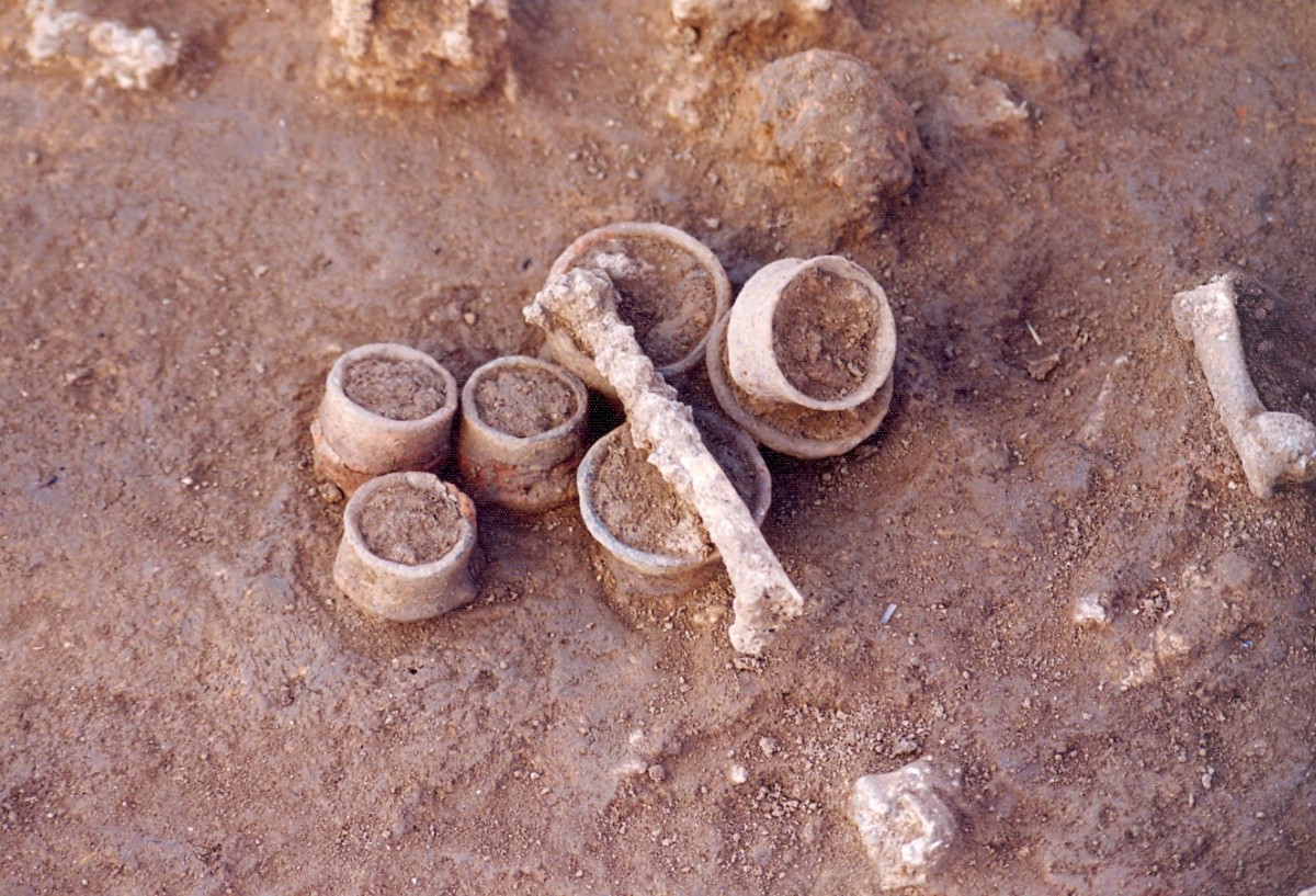 Εικ. 5. Μικρογραφικά αγγεία και οστό ζώου – κατάλοιπα τελετουργίας, εντός μικρού λάκκου (αα. 388) στα βορειοανατολικά όρια του νεολιθικού οικισμού της Τούμπας Κρεμαστής Κοιλάδας.