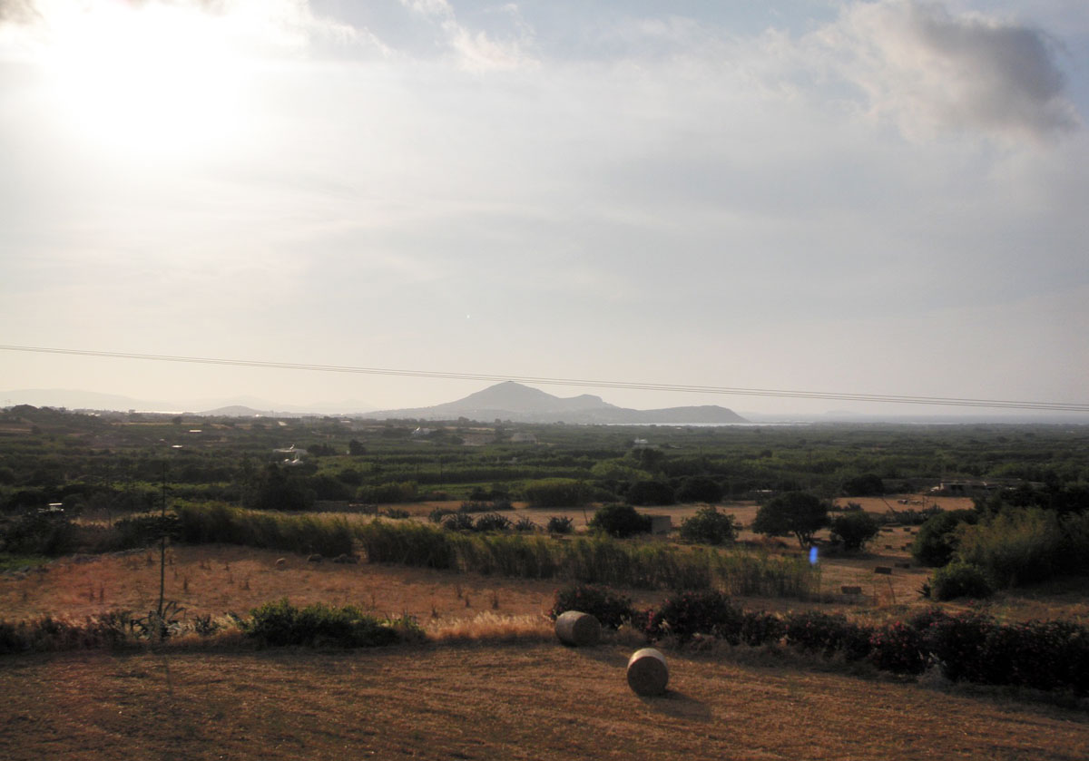 Βρήκαν τον Άνθρωπο στη Στελίδα;
