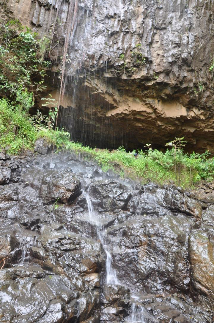 Η είσοδος του σπηλαίου της Μότα, στα υψίπεδα της Αιθιοπίας, όπου βρέθηκε το αρχαίο γονιδίωμα που αναλύθηκε. Φωτ. Kathryn και John Arthur.