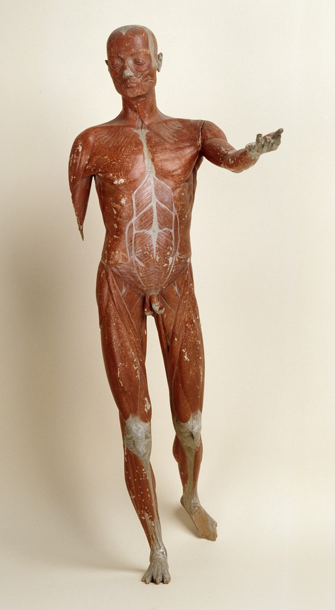 Προπλάσματα, Μουσείο Ιστορίας του Πανεπιστημίου Αθηνών