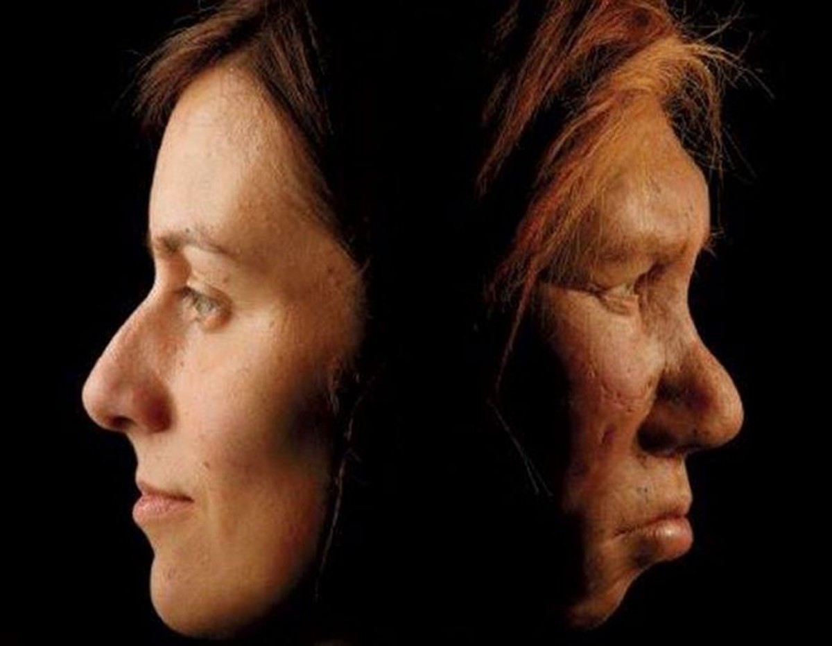 Νωρίτερα εκτιμάται η συνεύρεση των Νεάντερνταλ με τους Homo Sapiens