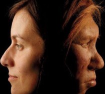 Νωρίτερα εκτιμάται η συνεύρεση των Νεάντερνταλ με τους Homo Sapiens