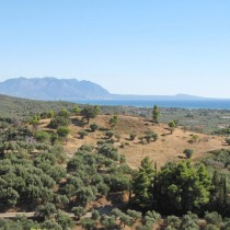 Κακόβατος Τριφυλίας: Άνοδος και πτώση μιας πρώιμης μυκηναϊκής θέσης