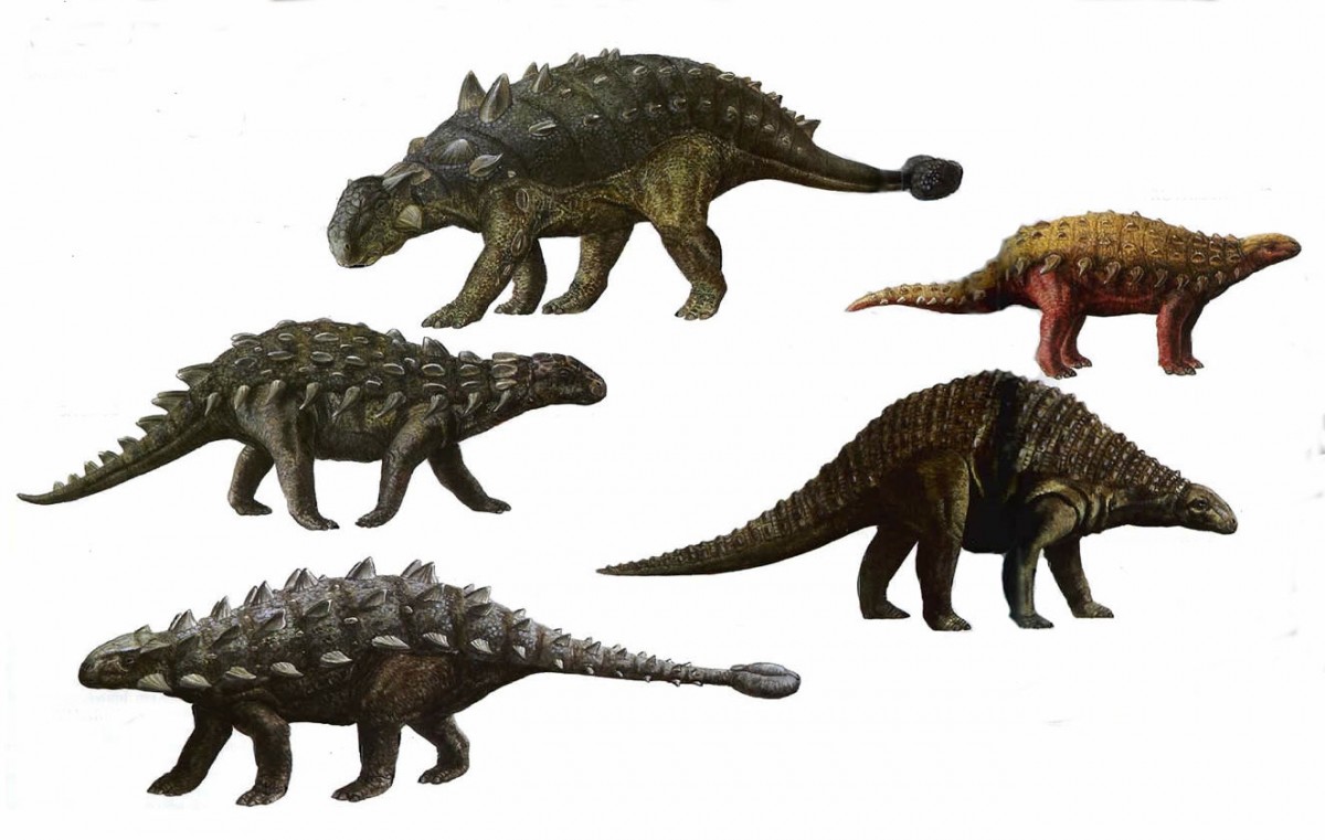 Έως τώρα οι επιστήμονες πίστευαν ότι η εξαφάνιση των δεινοσαύρων ήλθε ξαφνικά. Η νέα μελέτη ανατρέπει αυτή την εικόνα.