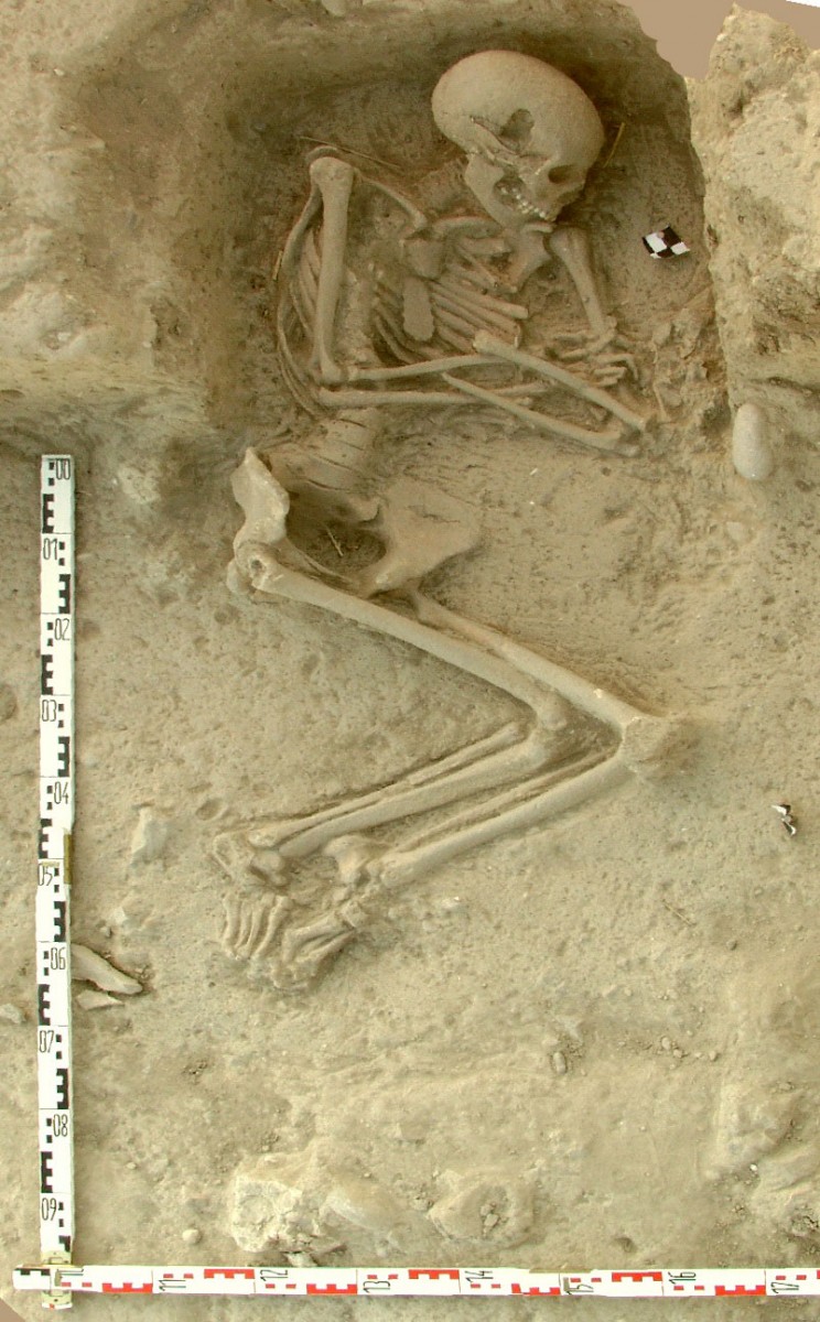 Σκελετός της Νεολιθικής εποχής από τη Βόρεια Ελλάδα (φωτ. ΑΠΕ-ΜΠΕ).