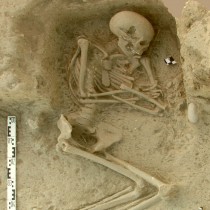 Μετανάστες από την Ελλάδα και την Ανατολία οι πρώτοι Ευρωπαίοι γεωργοί