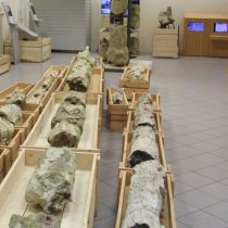 Ο Νίκος Ζούρος παρουσιάζει «Το Δάσος κάτω από τον Δρόμο»