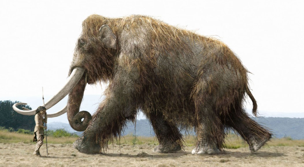 Η έλλειψη νερού σκότωσε τα τελευταία μαμούθ