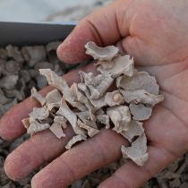 Σημαντικά ευρήματα στη θέση Κούκλια-Παλαίπαφος