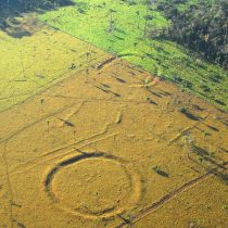Eκατοντάδες αρχαία γεωγλυφικά εντοπίστηκαν στα δάση του Αμαζονίου