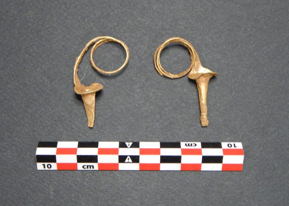 Χρυσά σκουλαρίκια. Φωτ.: Εφορεία Αρχαιότητων Φλώρινας.