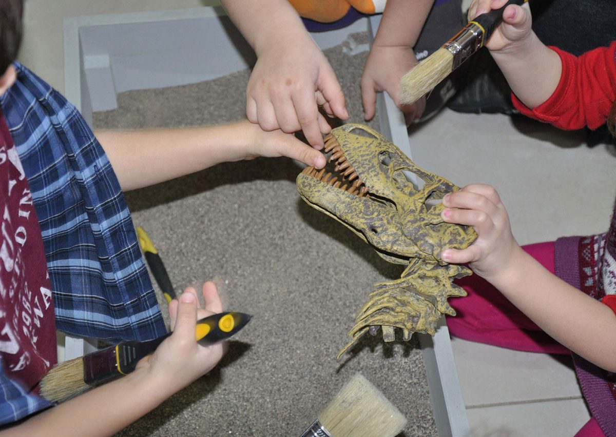 Τα παιδιά γίνονται μικροί παλαιοντολόγοι και εισάγονται στον κόσμο των Δεινοσαύρων.