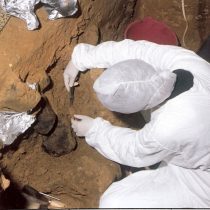 Το DNA της λάσπης