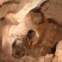 Nέοι οργανισμοί ανακαλύφθηκαν στο σπήλαιο Μελισσότρυπα Ελασσόνας