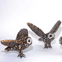 «Γλαύκες» στο Αρχαιολογικό Μουσείο του Πόρου