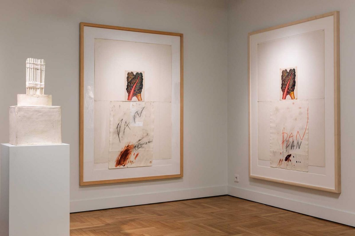 Άποψη της έκθεσης «Θεϊκοί Διάλογοι: Cy Twombly και Eλληνική Aρχαιότητα», που παρουσιάζεται στο Μουσείο Κυκλαδικής Τέχνης. Φωτ.: Πάρις Ταβιτιάν, ©Μουσείο Κυκλαδικής Τέχνης, 2017.