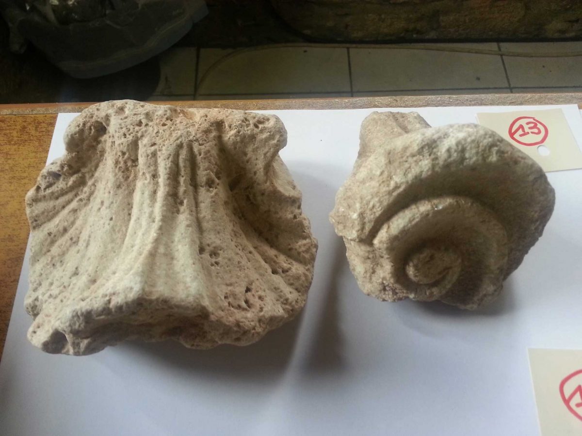 Πλήθος αρχαίων αντικειμένων και παλαιοντολογικό υλικό βρέθηκε σε δύο μεγάλες αποθήκες στην Κασσάνδρα Χαλκιδικής (φωτ. Ελληνική Αστυνομία).