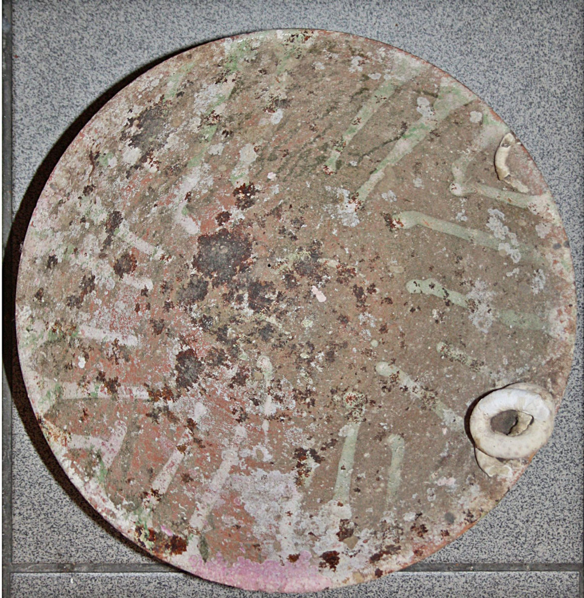 Πήλινη φιάλη που βρέθηκε και κατασχέθηκε στην Κάλυμνο (φωτ. Λιμενικό Σώμα).