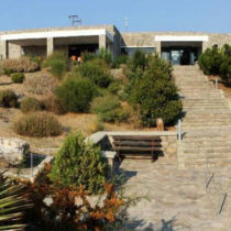 Η ζωή στην… «τροπική» λίμνη του Γαβαθά