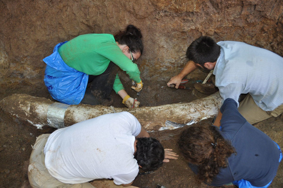 Ανασκαφή στο Ίσιωμα Καρυών, δίπλα στο υπό ανέγερση μουσείο (φωτ.: Αρχείο Γ. Θεοδώρου / ΑΠΕ-ΜΠΕ).