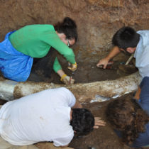 «Ο παλαιοντολογικός πλούτος της Ελλάδας μπορεί και πρέπει να αξιοποιηθεί»