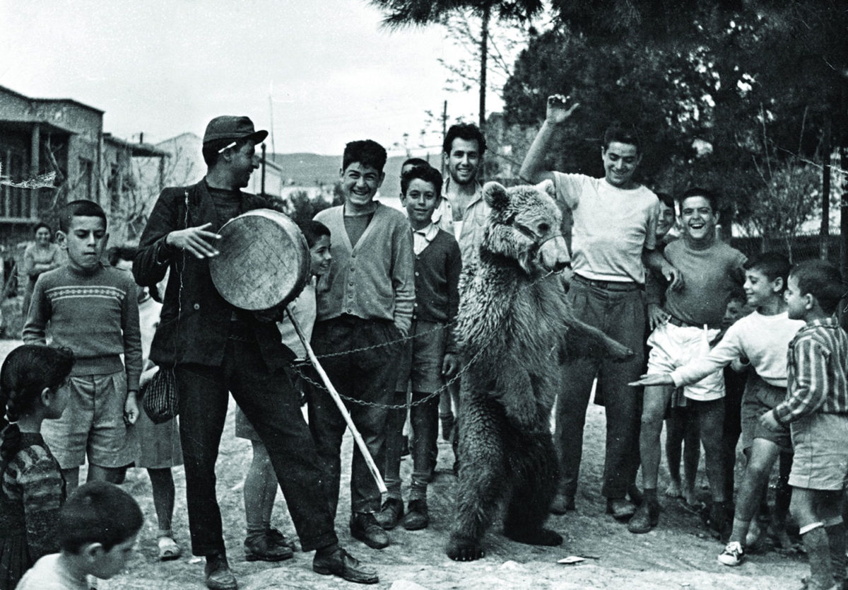Αγνώστου φωτογράφου. Αρκουδιάρης, Καλαμαριά 1950-55. Συλλογή Άρη Παπατζήκα. Πηγή φωτ.: ΠΕΕΒΕ.