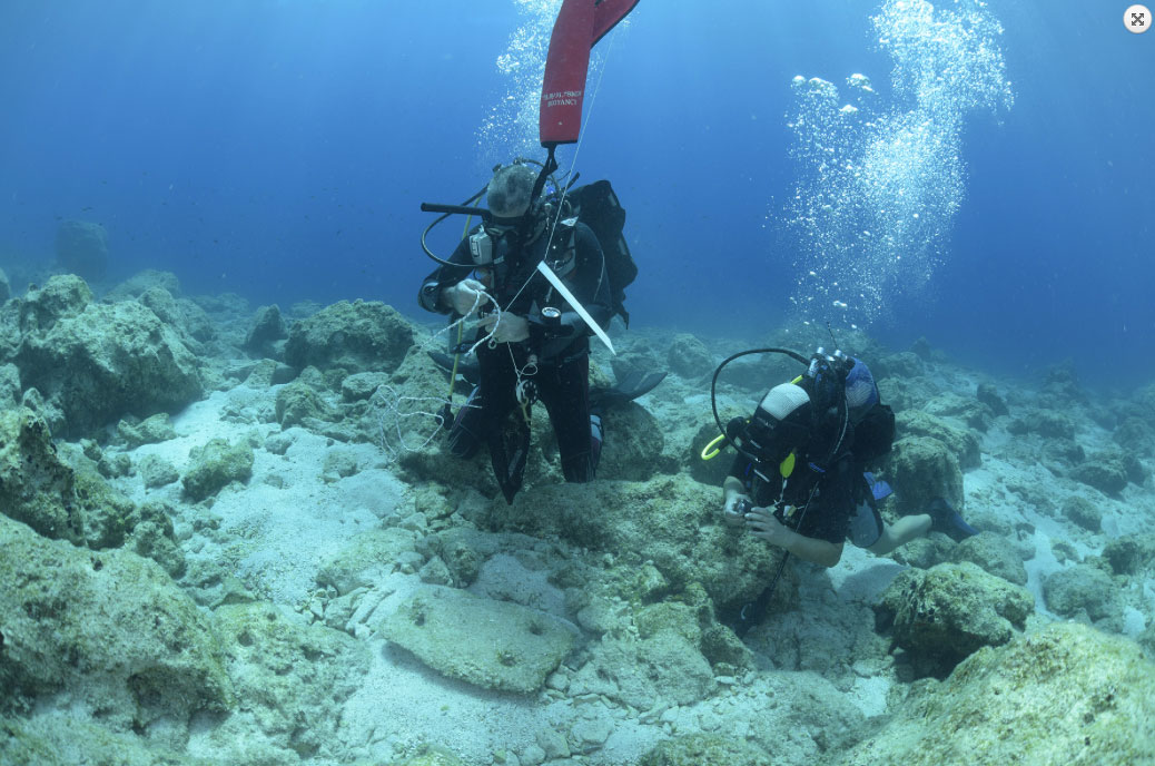 Από τις υποβρύχιες έρευνες στις νότιες ακτές της Νάξου. Φωτ.: Εφορεία Εναλίων Αρχαιοτήτων / Πανεπιστήμιο Όσλο.