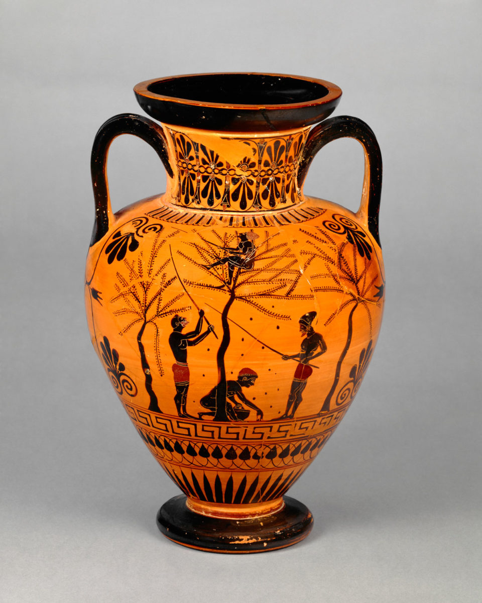 Αττικός μελανόμορφος αμφορέας που έχει αποδοθεί στον ζωγράφο του Αντιμένους. Εικονίζεται σκηνή συγκομιδής ελαιών. 520–510 π.Χ. © Λονδίνο, Βρετανικό Μουσείο.