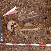 Η πανώλη έφτασε στην Ευρώπη περίπου 4.800 χρόνια πριν