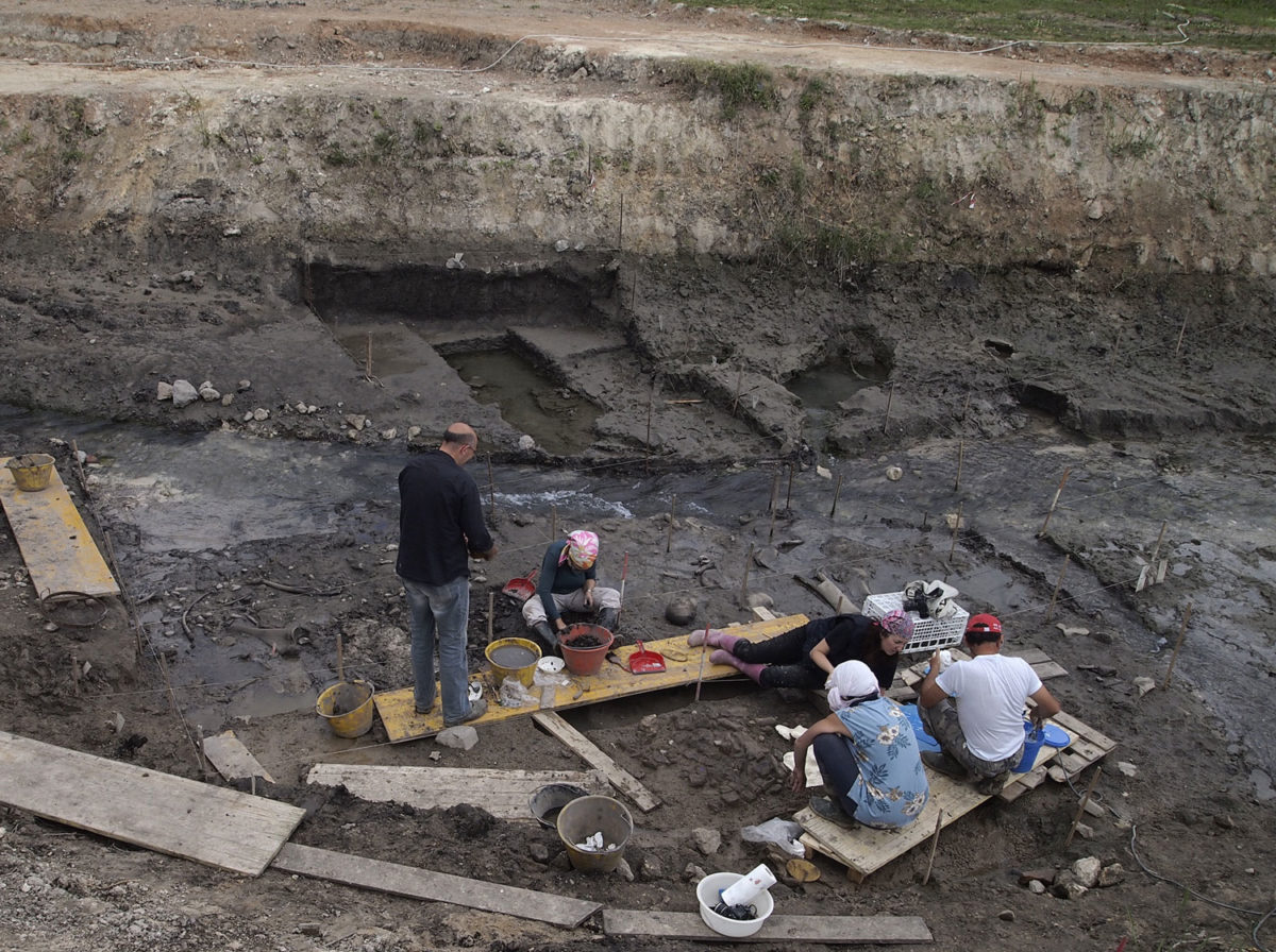 Γενική άποψη της ανασκαφής στο Γκροσέτο της νότιας Τοσκάνης (φωτ.: PNAS).