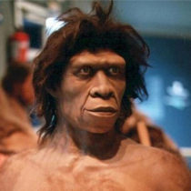 Νέα θεωρία για τον Homo erectus