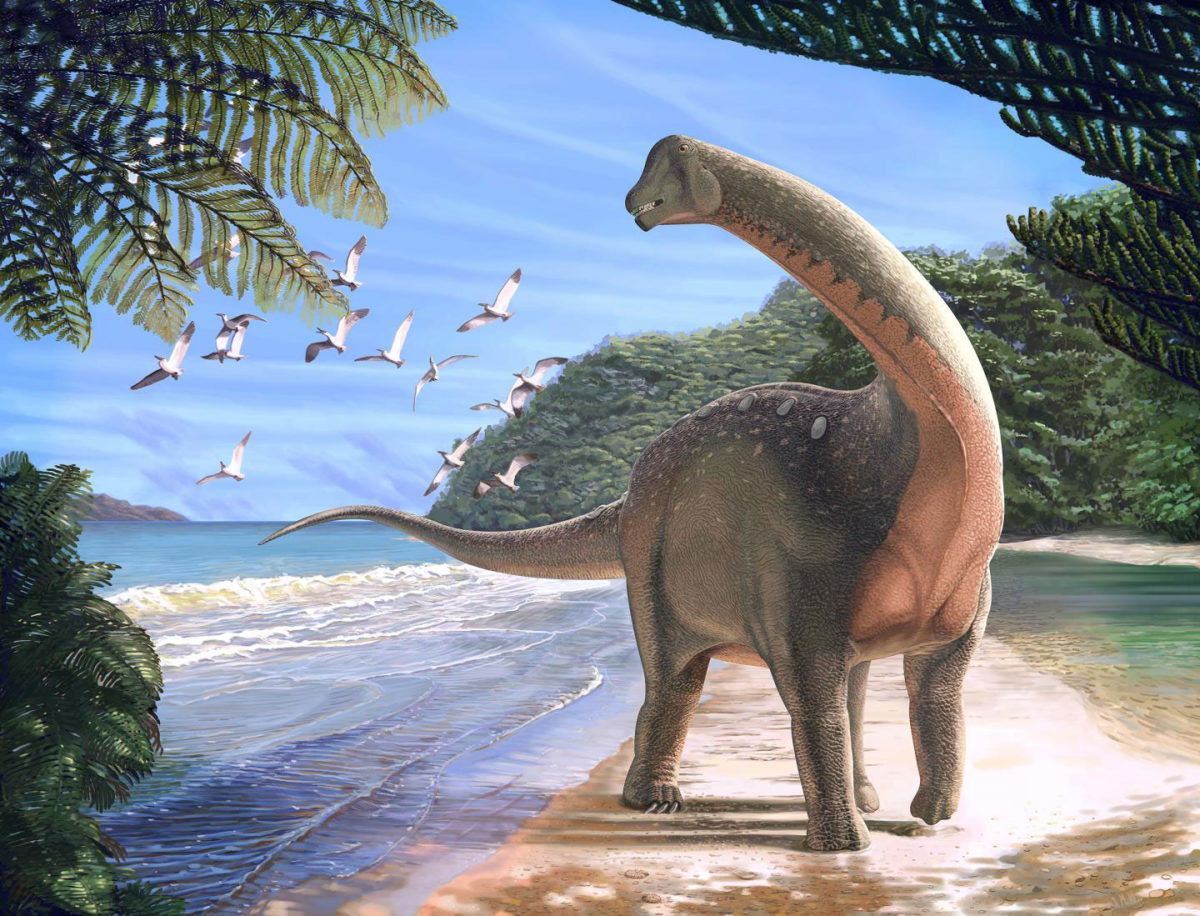 Καλλιτεχνική απεικόνιση του Μανσουρόσαυρου. Πηγή: Andrew McAfee / Carnegie Museum of Natural History.