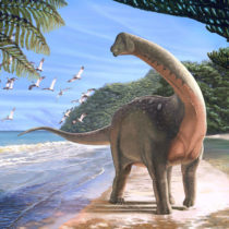 Σπάνιο απολίθωμα δεινόσαυρου βρέθηκε στην Αίγυπτο