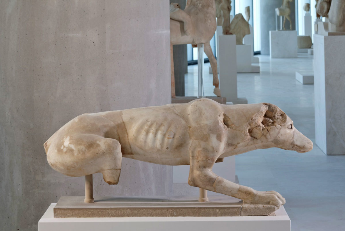 Το κυνηγετικό σκυλί της Ακρόπολης. Μουσείο Ακρόπολης, γύρω στο 520 π.Χ. (Ακρ. 143).