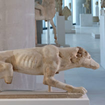 Καλοκαίρι παρέα με τα ζώα του Μουσείου Ακρόπολης