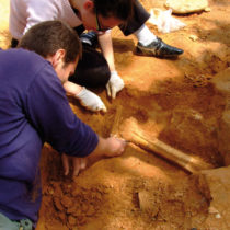 Το ΑΠΕ-ΜΠΕ στην παλαιοντολογική ανασκαφή του Πικερμίου