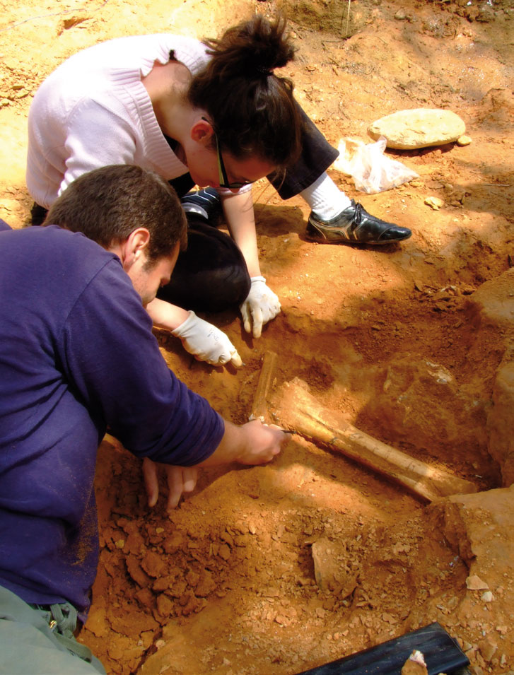 Στιγμιότυπο από ανασκαφή στο ρέμα Βαλανάρη Πικερμίου, θέση PV1. © Γ. Θεοδώρου.