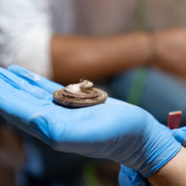 Σίκινος: Η ταφή που αποκαλύφθηκε είναι «εκτός κλίμακας για το νησί»