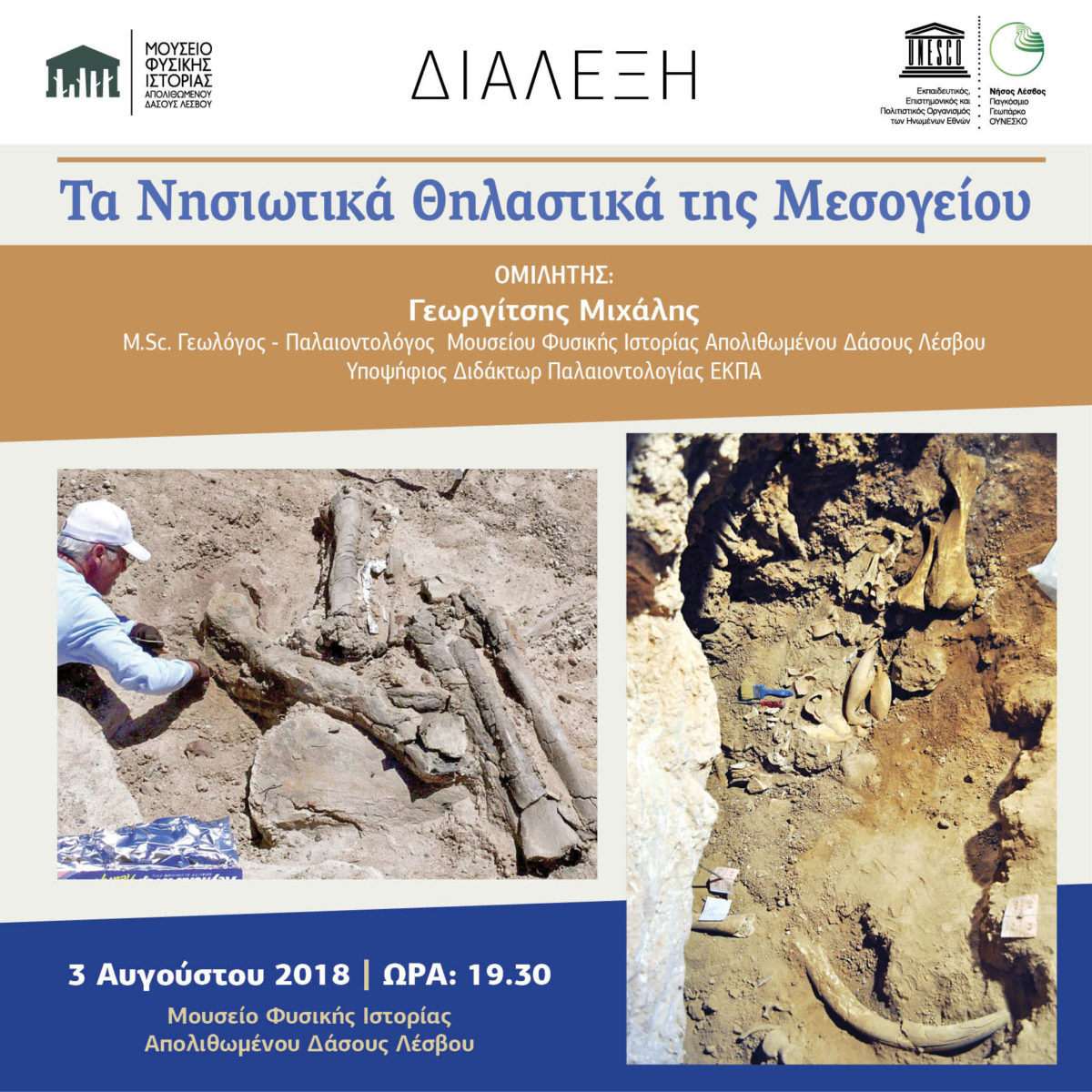 Η αφίσα της διάλεξης.