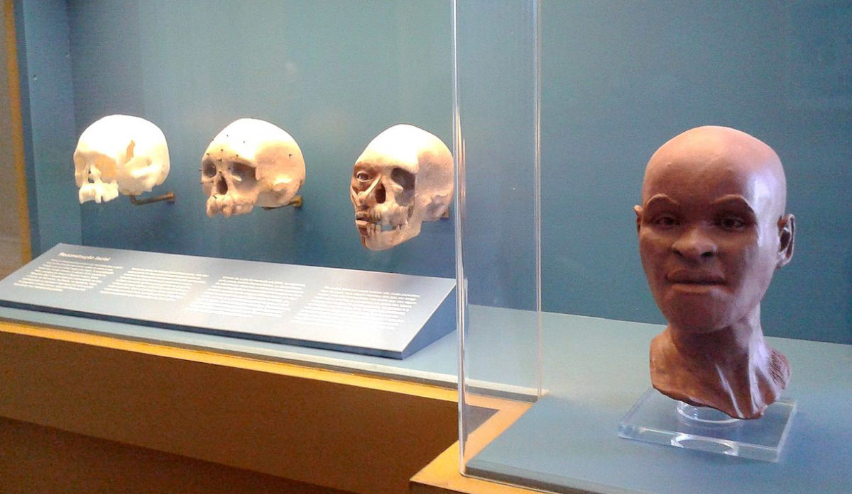 Στάχτη έγινε το απολιθωμένο κρανίο της Λουζία, ηλικίας 12.000 ετών