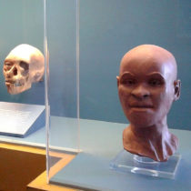 Στάχτη έγινε το απολιθωμένο κρανίο της Λουζία, ηλικίας 12.000 ετών