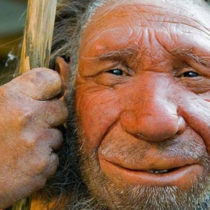 Οι Νεάντερταλ είχαν πολύ επιδέξια χέρια