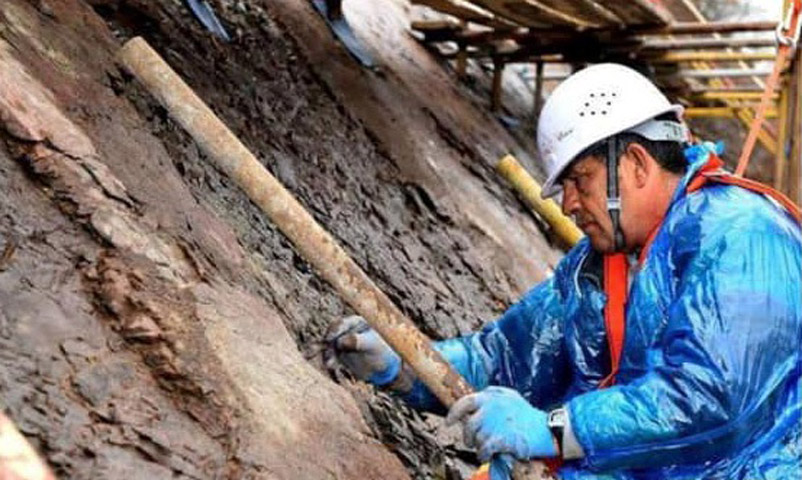 Συντήρηση απολιθωμάτων δεινοσαύρων: Από τη Λέσβο στην Κίνα