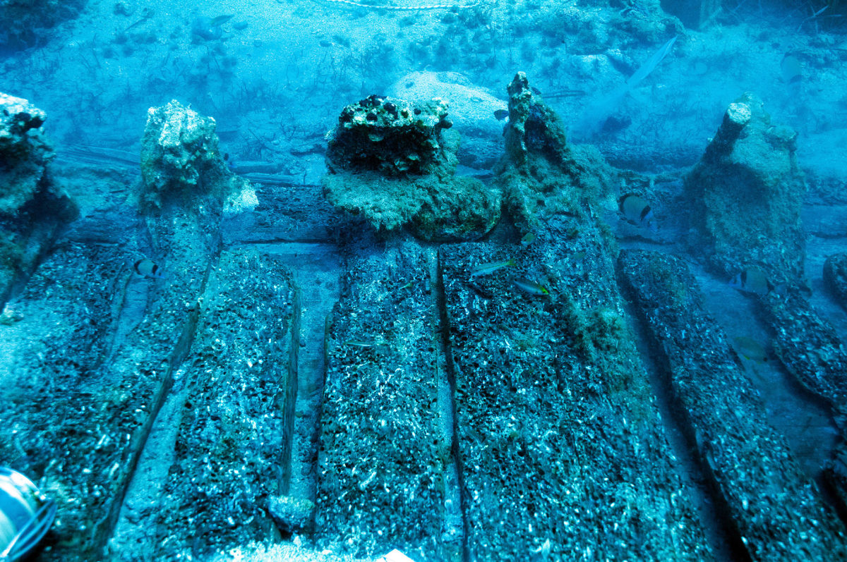 Μέρος από το σκαρί που πλοίου που αποκαλύφθηκε και μελετήθηκε (φωτ.: ΥΠΠΟΑ/ΕΕΑ, Αλέξης Τούρτας).