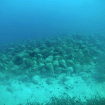 Πρώτη παρέμβαση σε ναυάγια της Αλοννήσου και του Παγασητικού