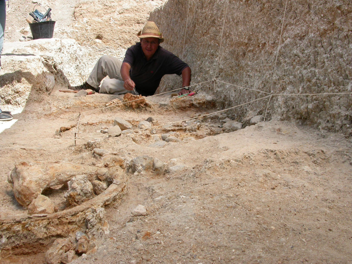 Άποψη της ανασκαφής στο Αΐν Μπουσερίτ. Φωτ.: M. Sahnouni.