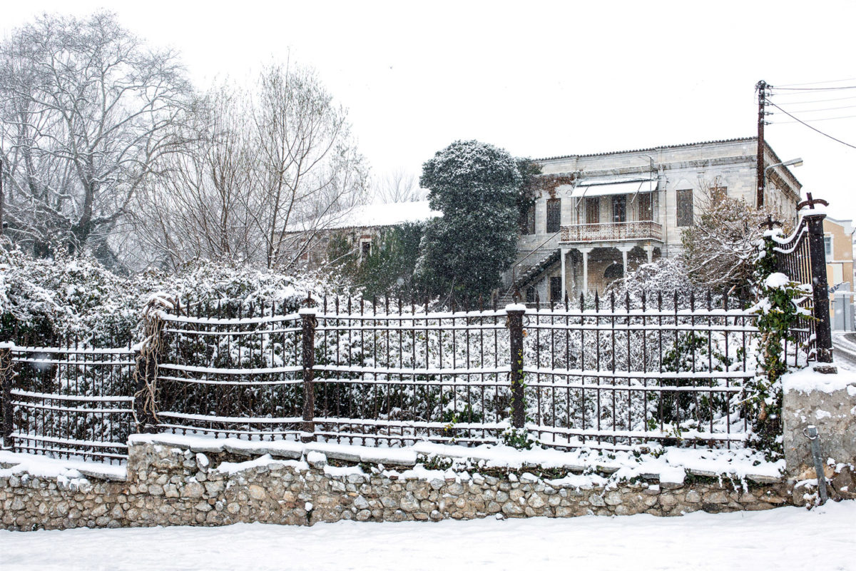 Κώστας Βιδάκης, άποψη του κήπου και του συγκροτήματος του μαρμάρινου σπιτιού, με την καπναποθήκη Αναστασιάδη.
